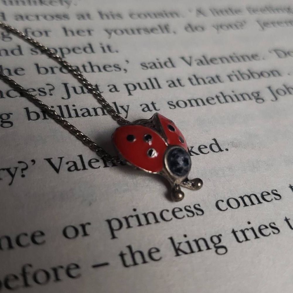 Lady Bug Necklace - Picture 2 of 12